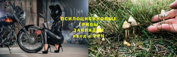 крисы Медвежьегорск