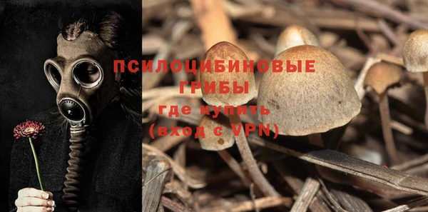 мяу мяу мука Абдулино